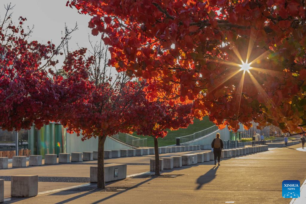 Autumn scenery in Canberra, Australia