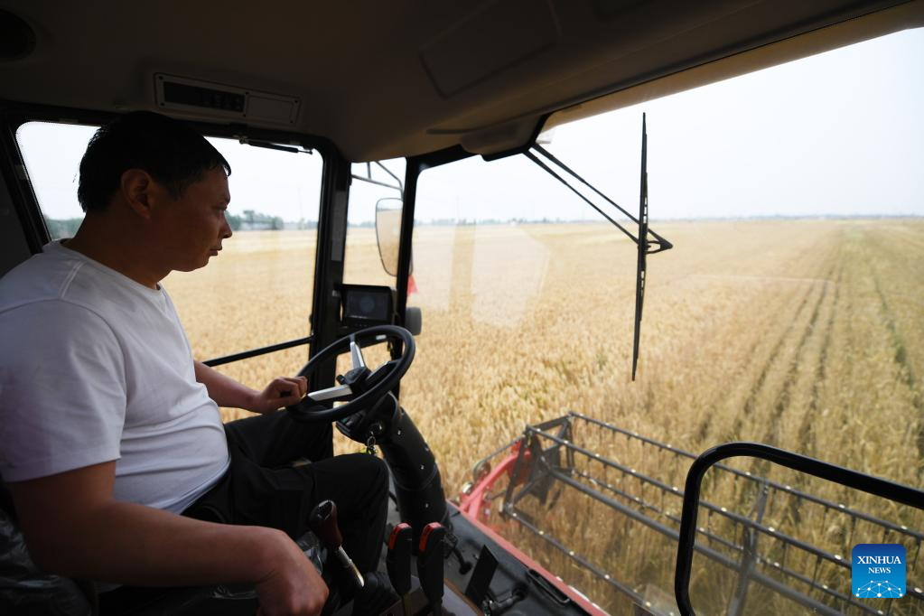 Farmers harvest wheat in Henan