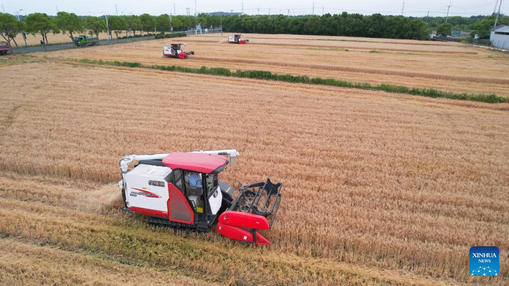 Farmers harvest wheat across China