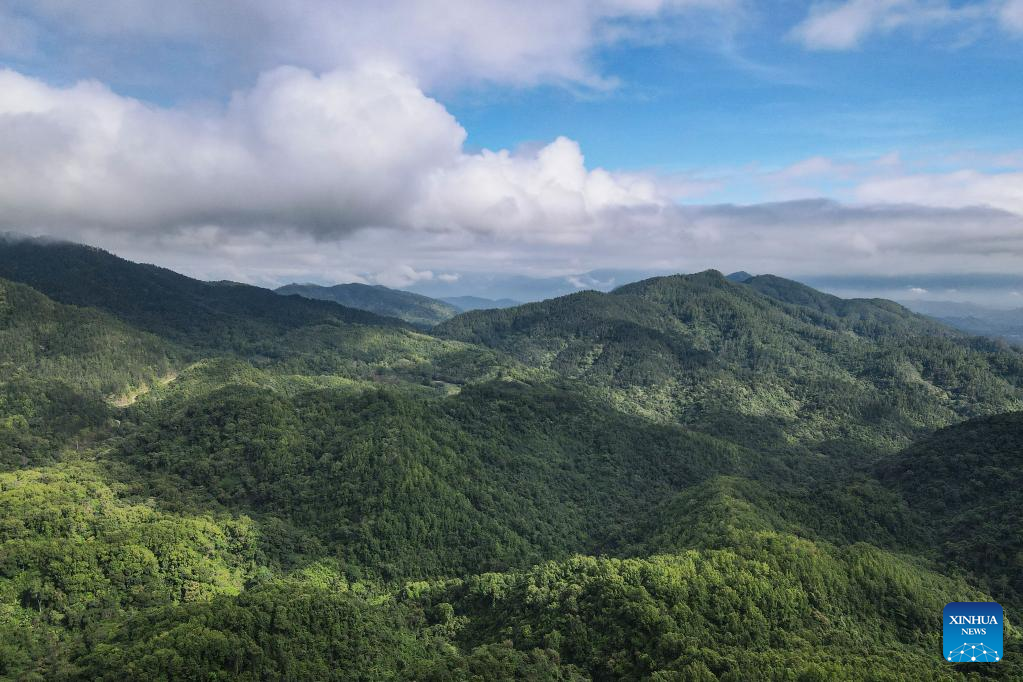 Scenery of Wuzhishan City in S China's Hainan