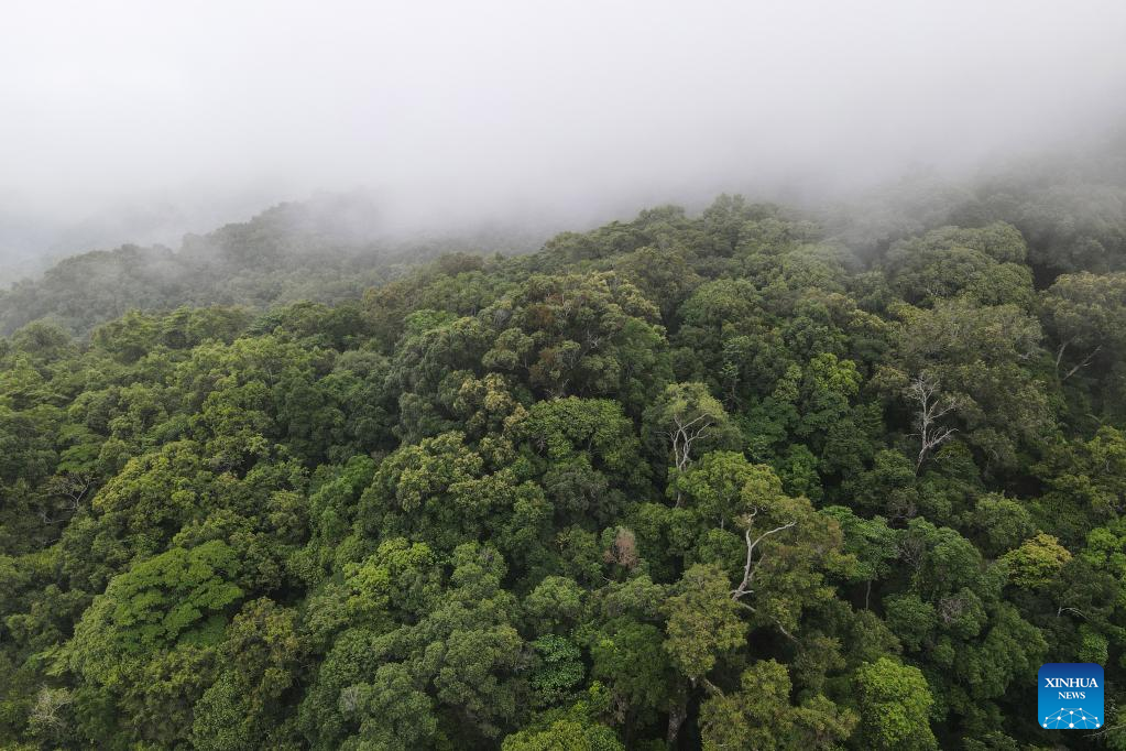 Scenery of Wuzhishan City in S China's Hainan