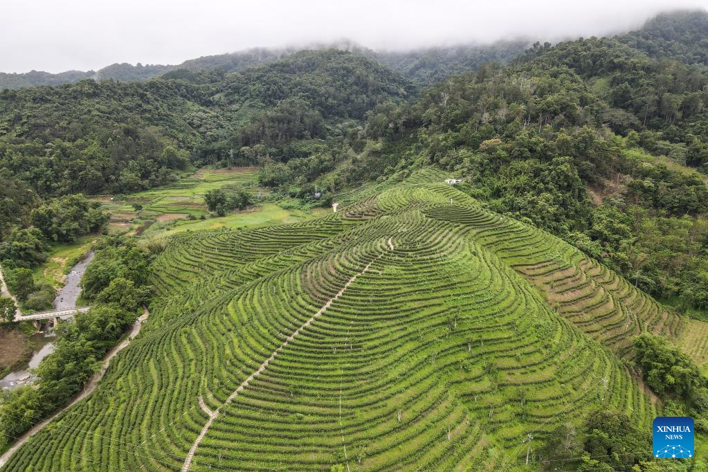 Scenery of Wuzhishan City in S China's Hainan