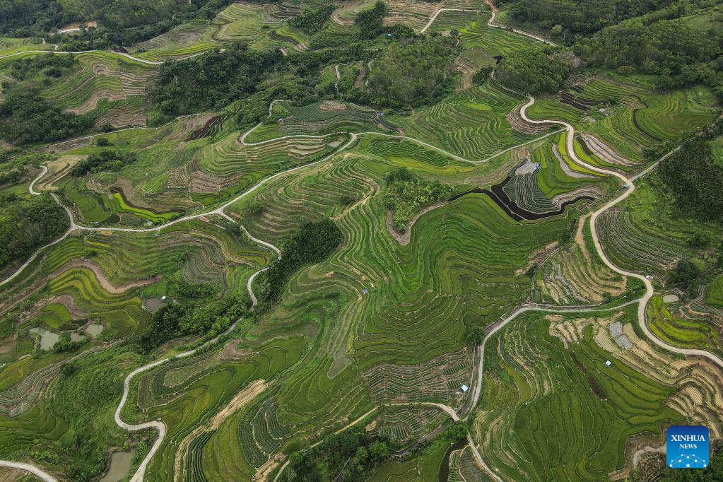 Scenery of Wuzhishan City in S China's Hainan