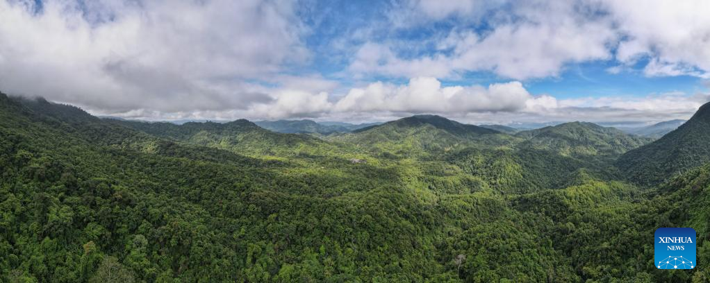 Scenery of Wuzhishan City in S China's Hainan