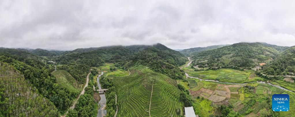 Scenery of Wuzhishan City in S China's Hainan