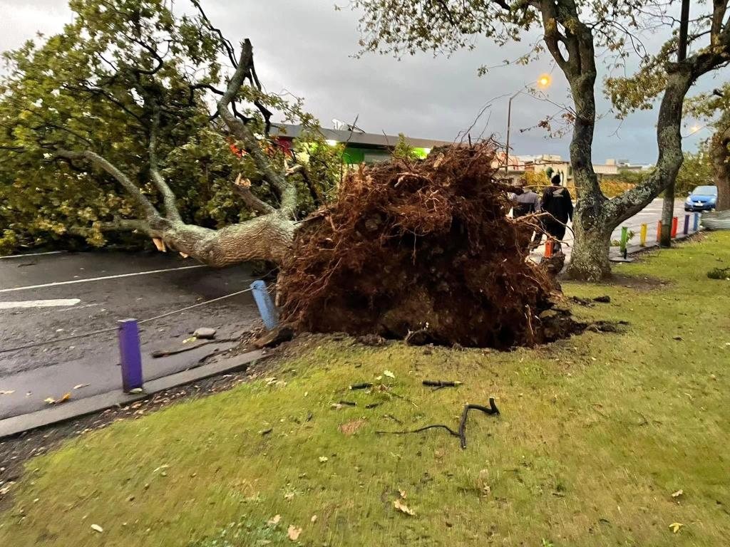 Severe weather hits New Zealand