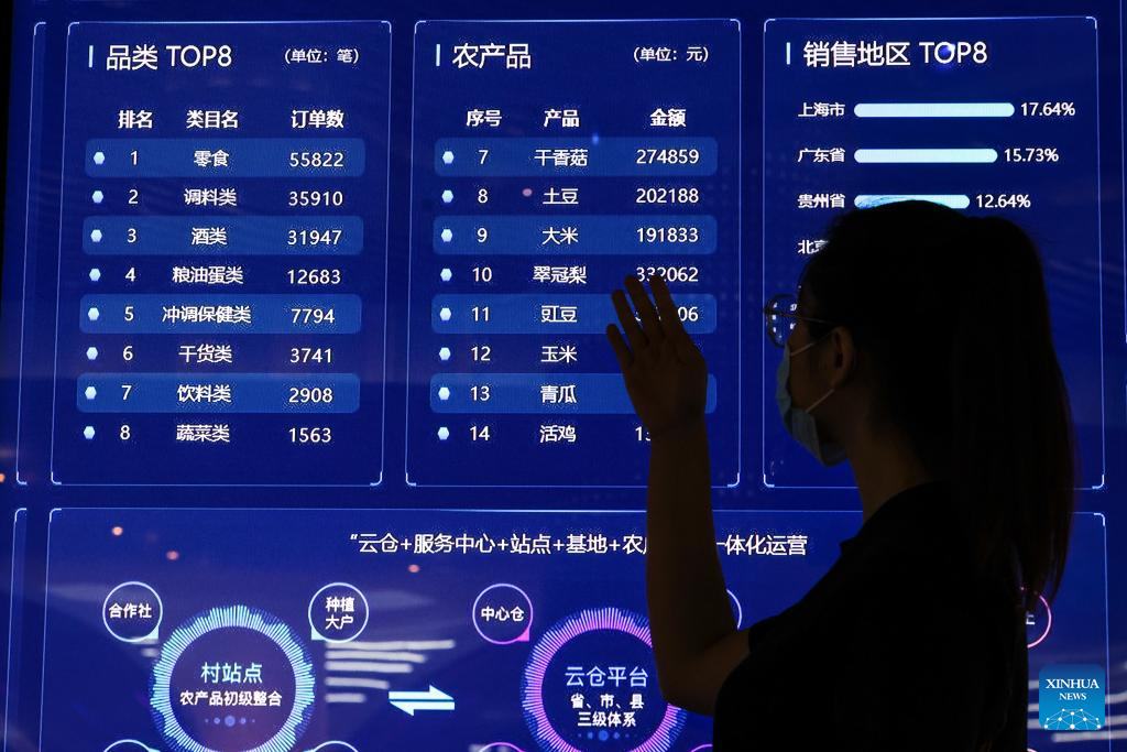 China Int'l Big Data Industry Expo 2022 opens online in Guizhou