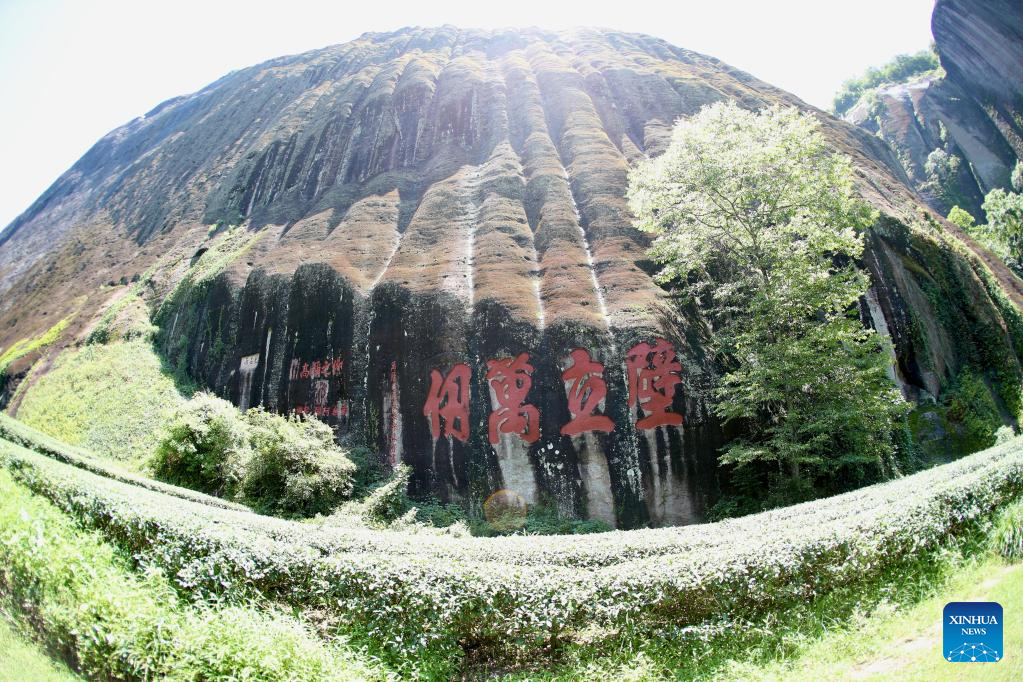 Mount Wuyi in SE China, World Cultural and Natural Heritage site