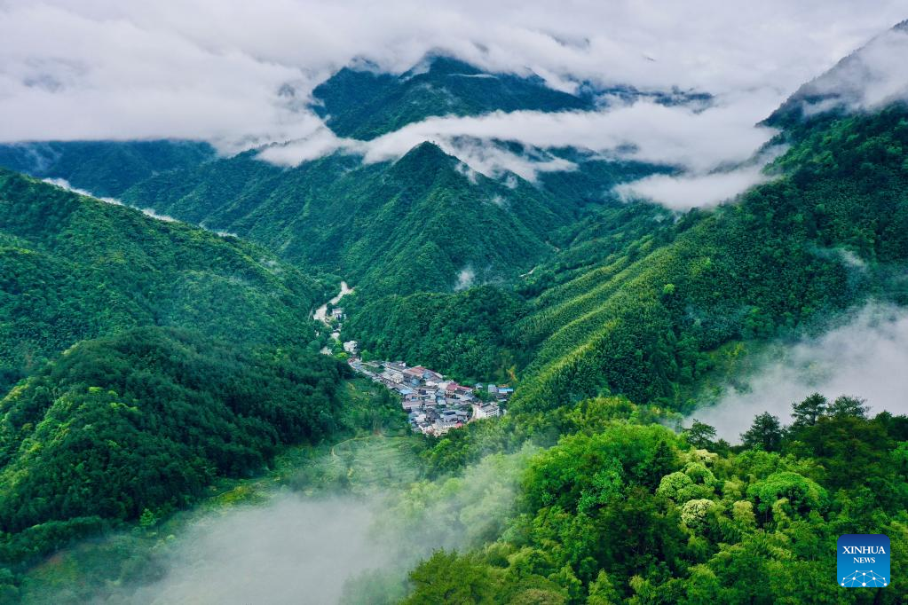 Mount Wuyi in SE China, World Cultural and Natural Heritage site