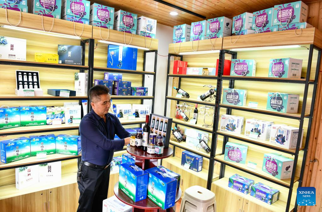 Blueberries enter harvest season in China's Guizhou