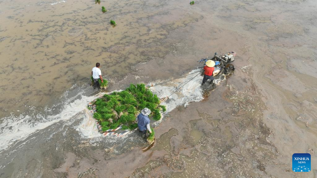 Farmers work in fields across China