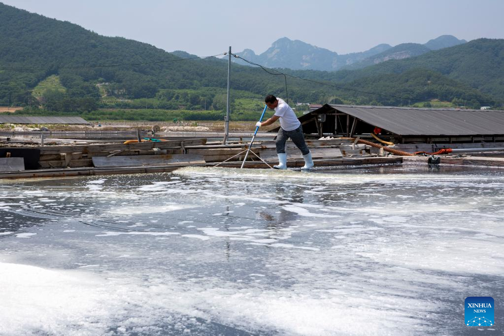 Traditional sea salt making in South Korea
