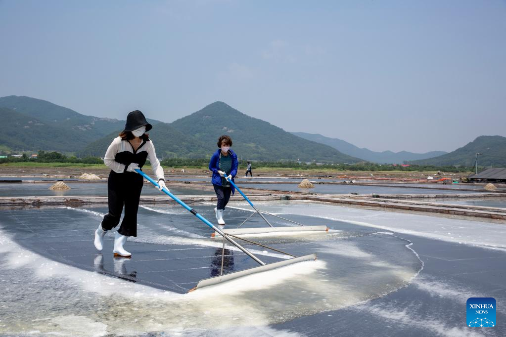 Traditional sea salt making in South Korea