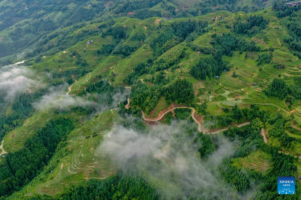 Scenery of terraced fields in Jiayi Village, SW China's Guizhou