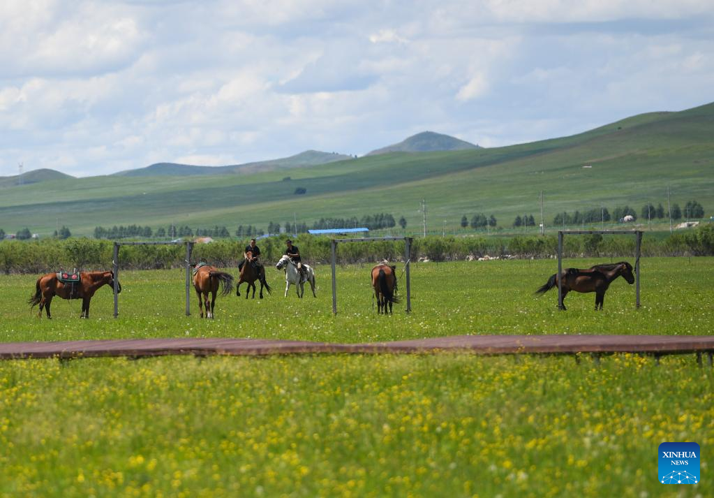 Scenery of Ulan Mod grassland in N China's Inner Mongolia