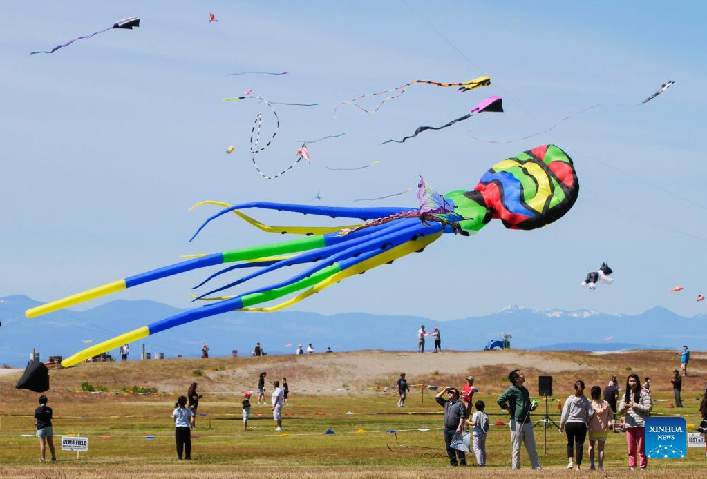 Highlights of Pacific Rim Kite Festival in Canada
