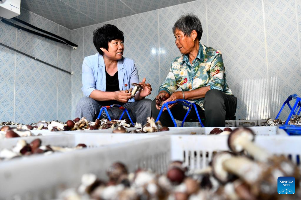Hongniya Village takes measures to boost rural revitalization in Shandong