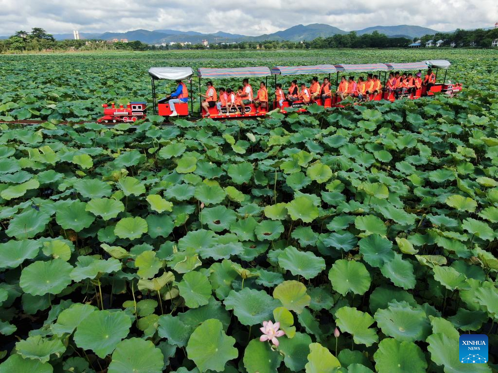 People enjoy lotus flowers at Longde Lake in Jinghong, Yunnan