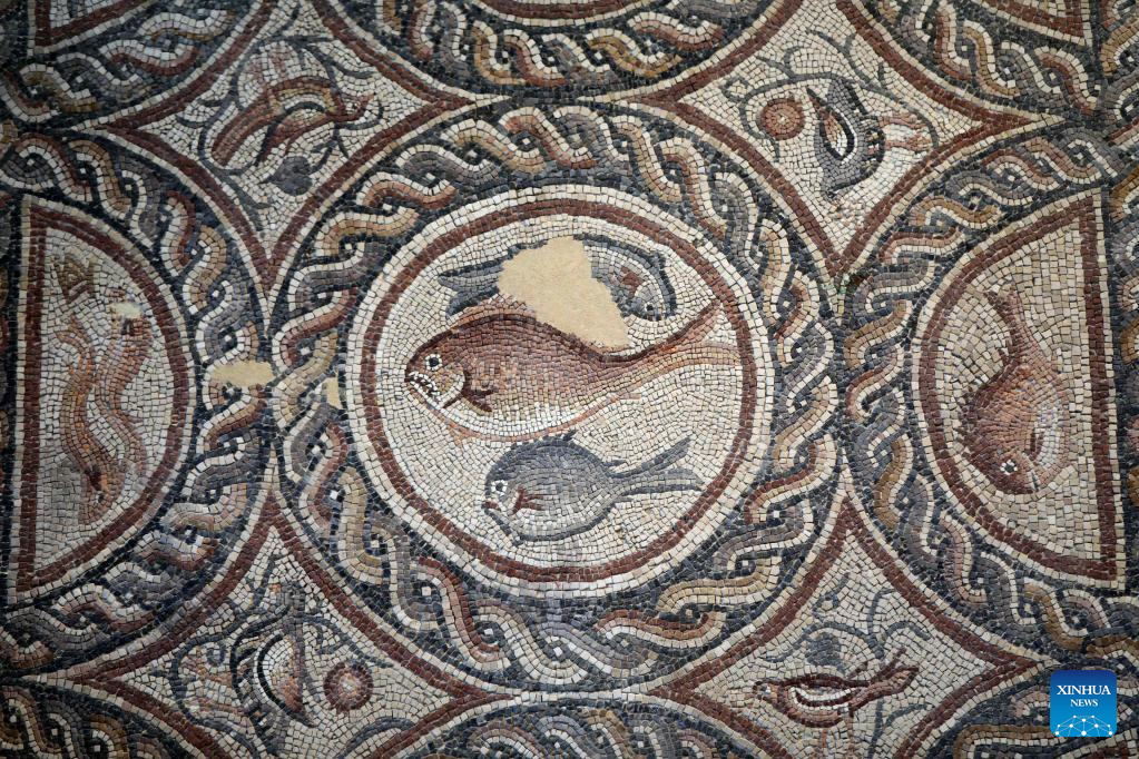 Unique mosaics exhibited at Lod Mosaic Archaeological Center in Israel