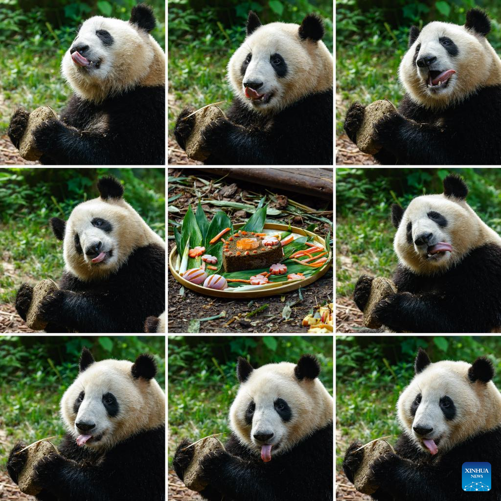 Panda twins celebrate 2nd birthday in Chengdu