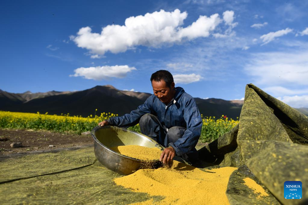 Pic story: beekeeper develops business in NW China