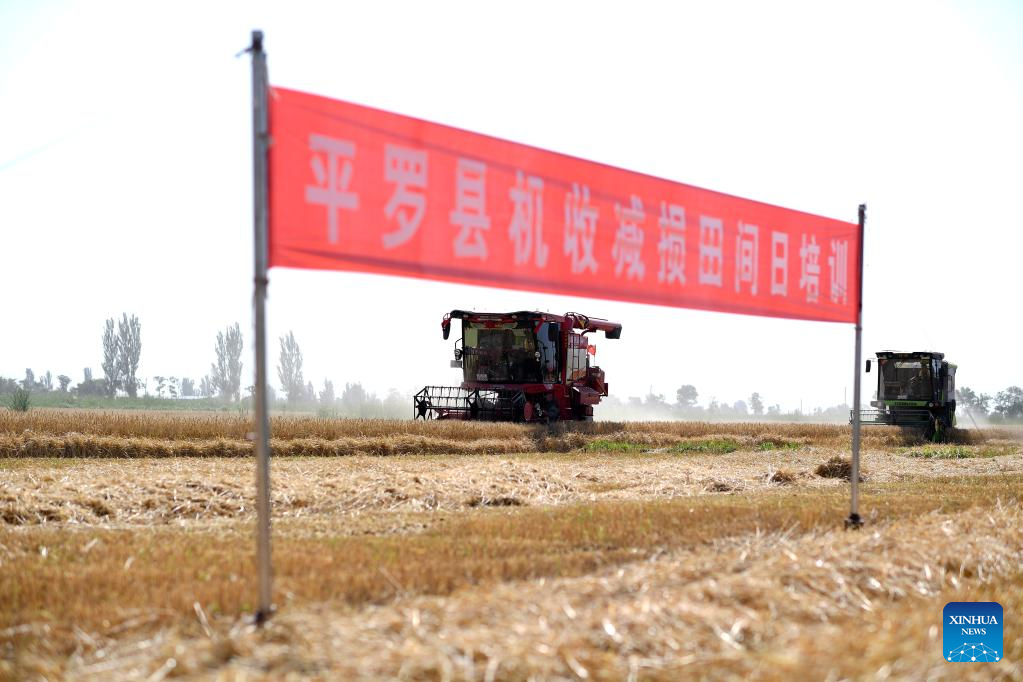 Local agricultural sector conducts trainings for villagers to ensure harvest efficiency in NW China