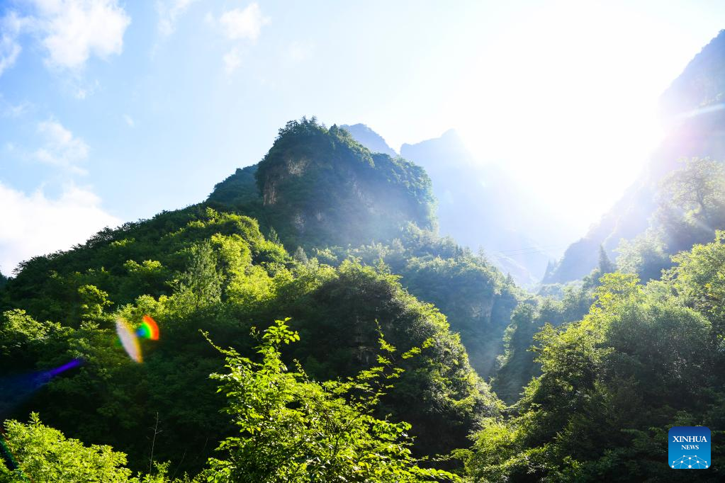 View of Chongqing Wulipo National Nature Reserve in Wushan County, Chongqing