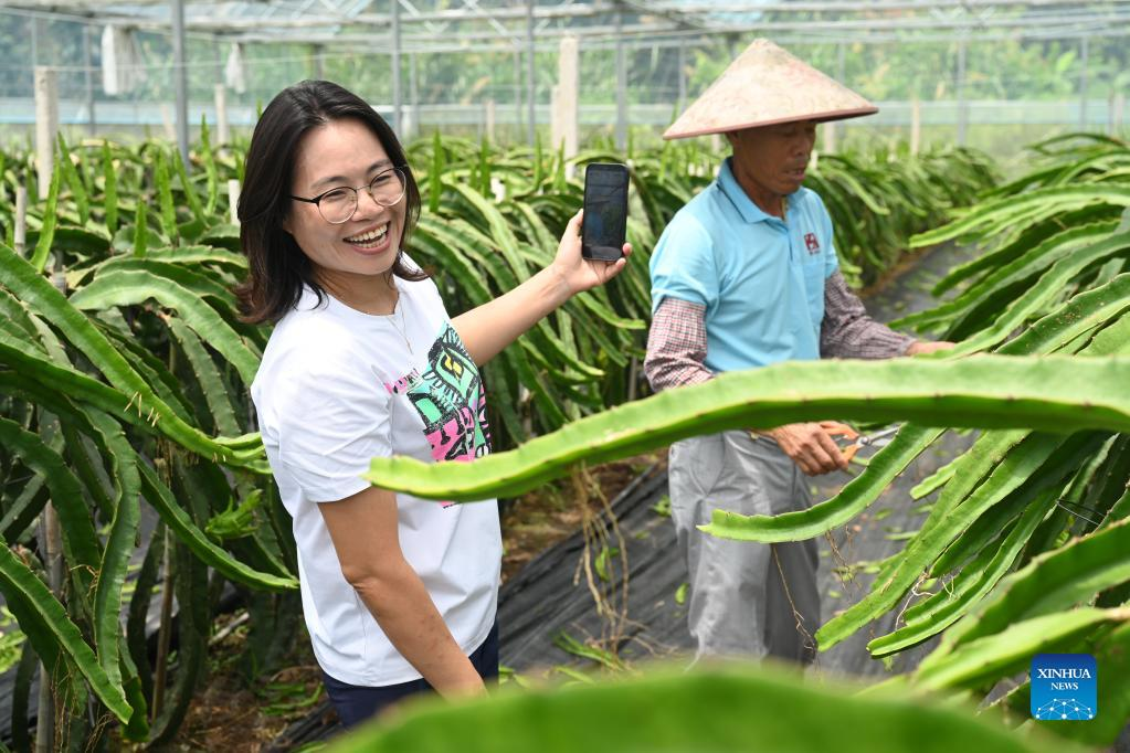 Pic story: girl from Taiwan helps her mother in agricultural company in Fujian, China