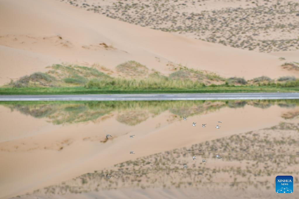 View of Badain Jaran Desert in N China's Inner Mongolia