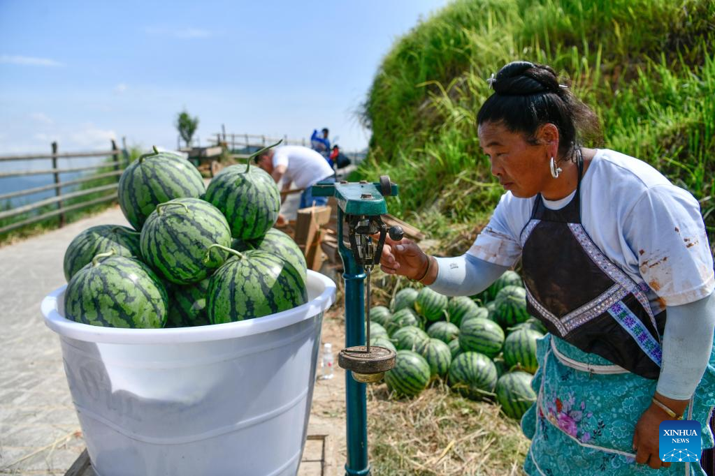 Watermelon sales boost villagers' income in Rongjiang County, Guizhou