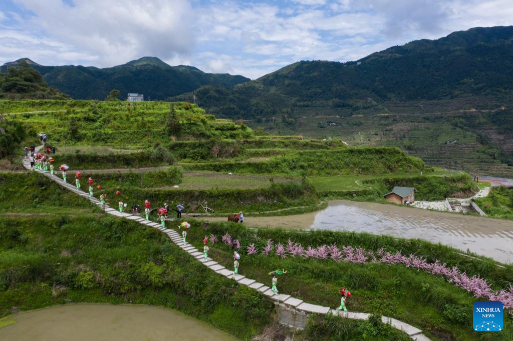 In pics: rice-fish co-culture system in east China's Zhejiang