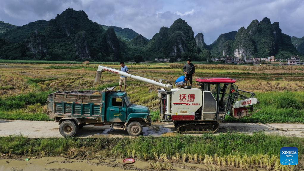 Farmers work in paddy fields in S China's Guangxi