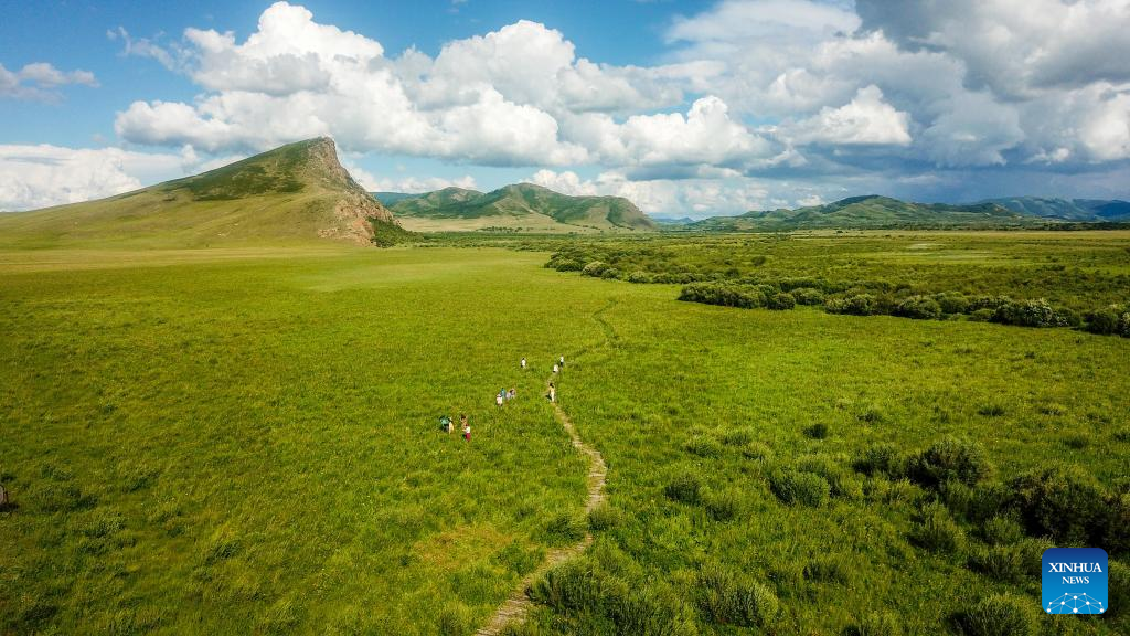 Scenery of grassland in N China's Inner Mongolia
