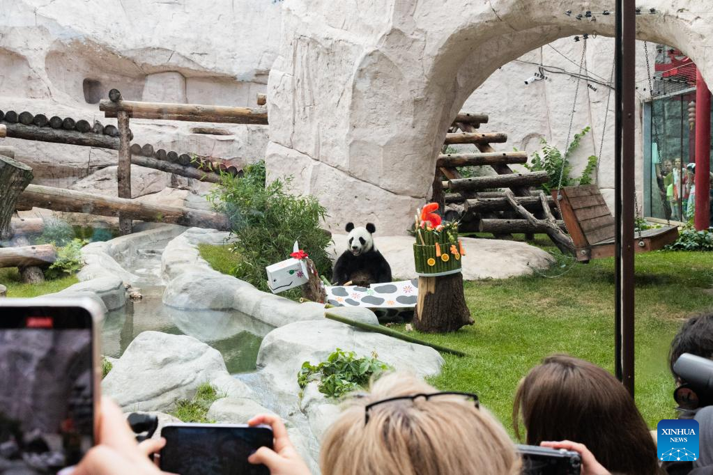 Birthdays of two giant pandas celebrated at Moscow Zoo