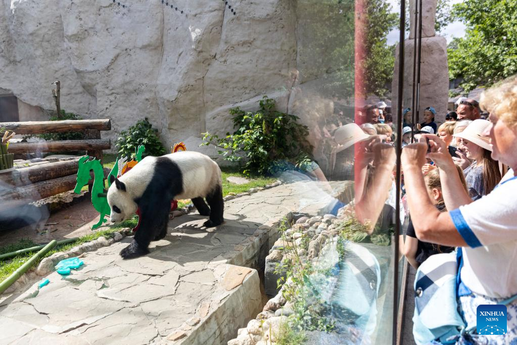 Birthdays of two giant pandas celebrated at Moscow Zoo