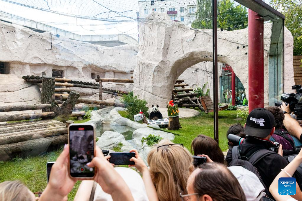 Birthdays of two giant pandas celebrated at Moscow Zoo