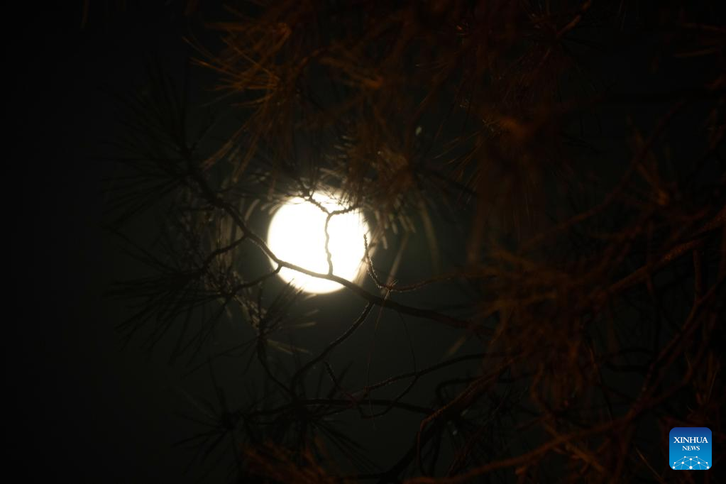 Full moon seen in Cyprus