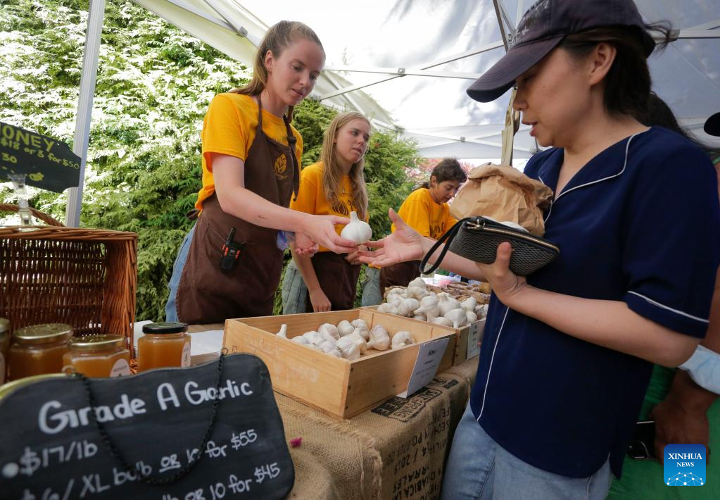 Annual Richmond Garlic Festival held in Richmond, Canada