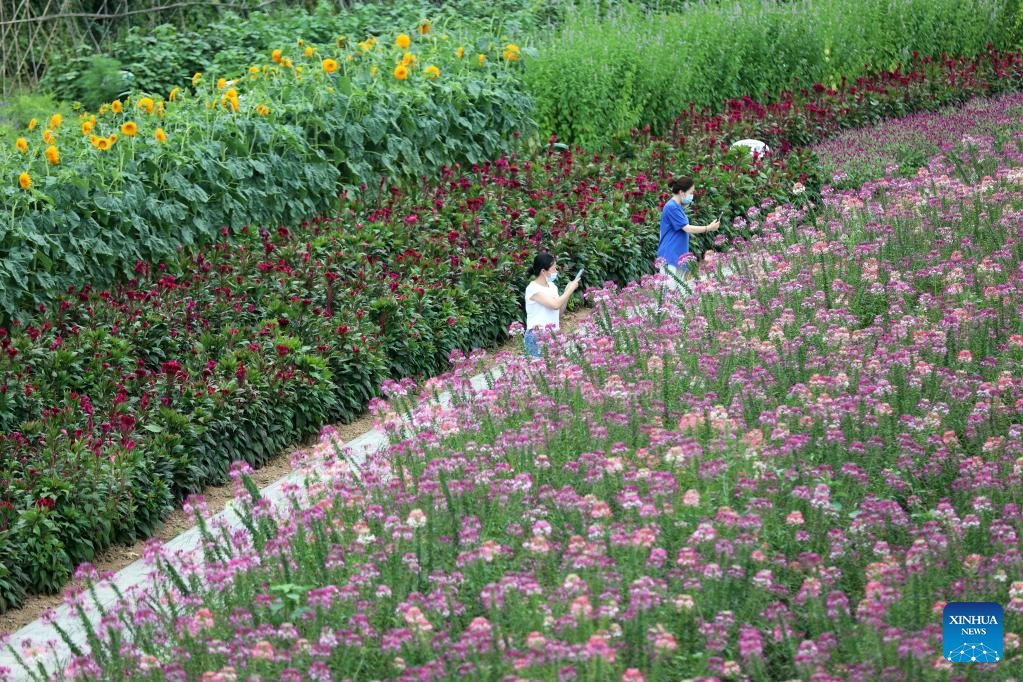 Luanping in north China innovates tourism development