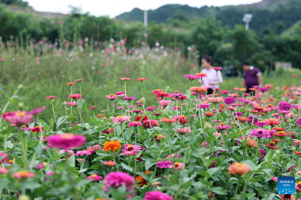Luanping in north China innovates tourism development
