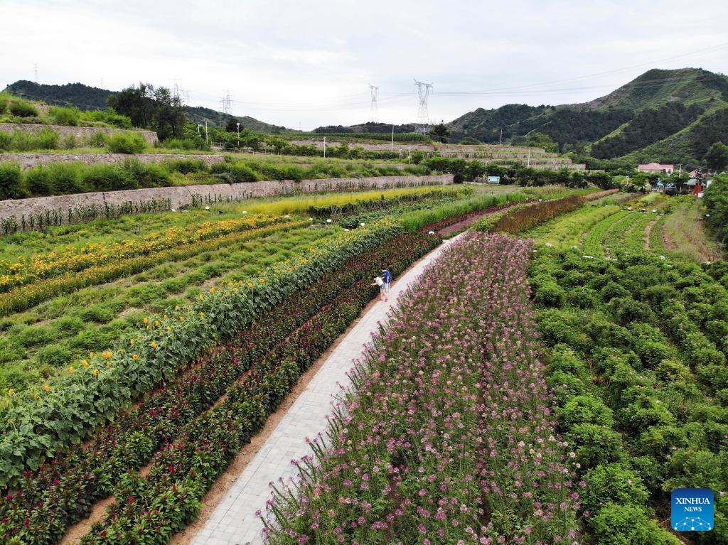 Luanping in north China innovates tourism development
