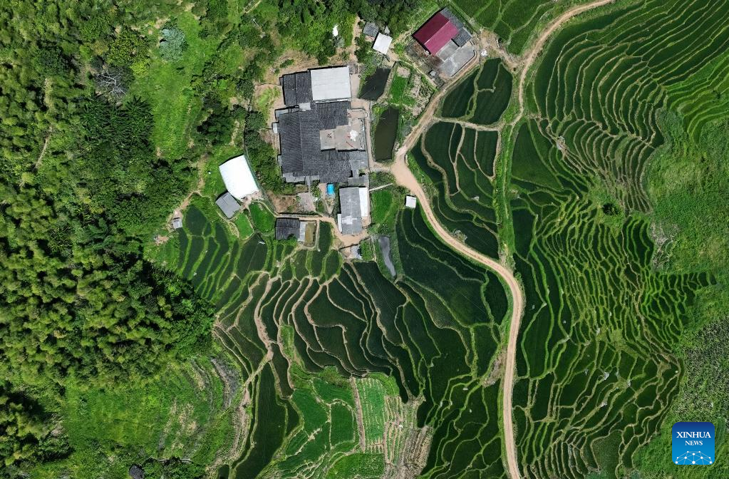 Scenery of terraced fields in Lianhe Township, SE China