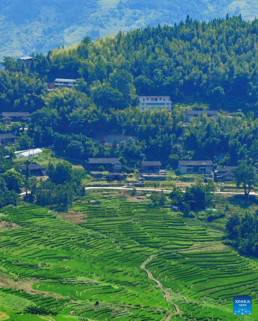 Scenery of terraced fields in Lianhe Township, SE China