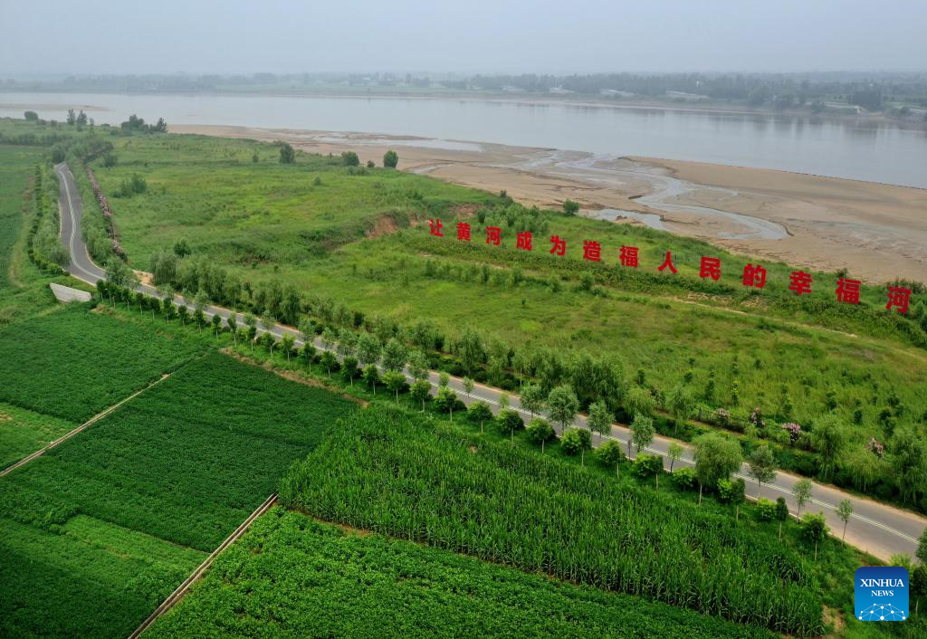 Central China's Henan builds ecological corridor along the Yellow River