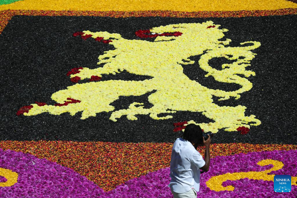 People visit Flower Carpet 2022 in Brussels