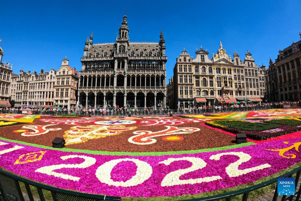 People visit Flower Carpet 2022 in Brussels