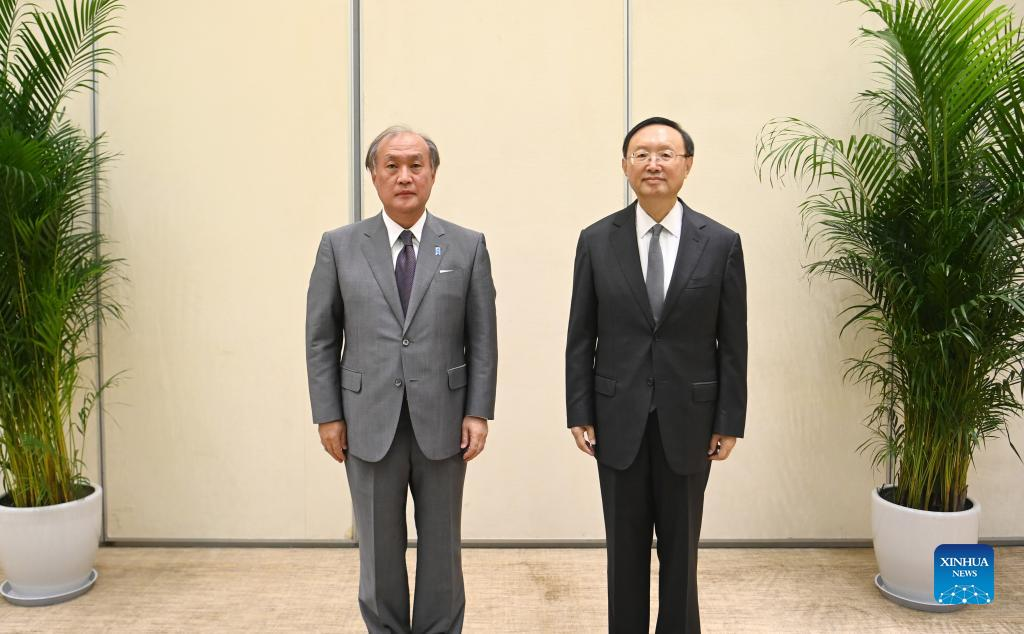 China, Japan hold 9th high-level political dialogue