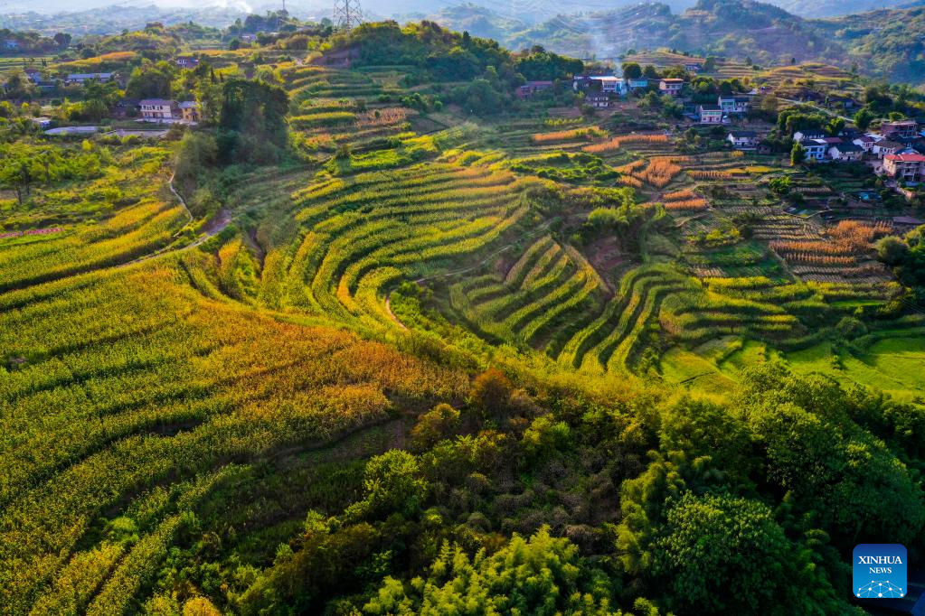 Scenery of Shiping Village in Chongqing, SW China