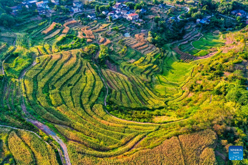 Scenery of Shiping Village in Chongqing, SW China