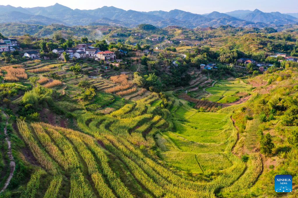 Scenery of Shiping Village in Chongqing, SW China